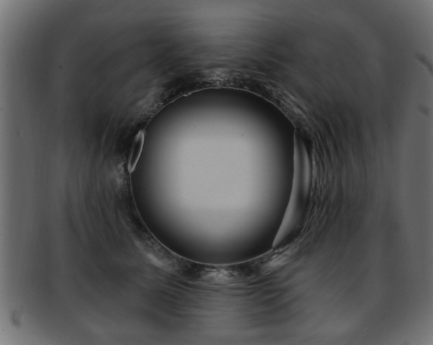 X0000093250611200709261721