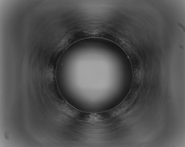 X0000093250612200709261721