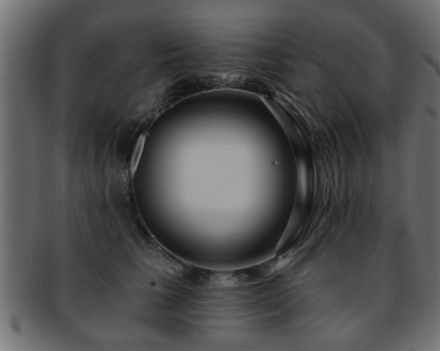 X0000093250613200709261721