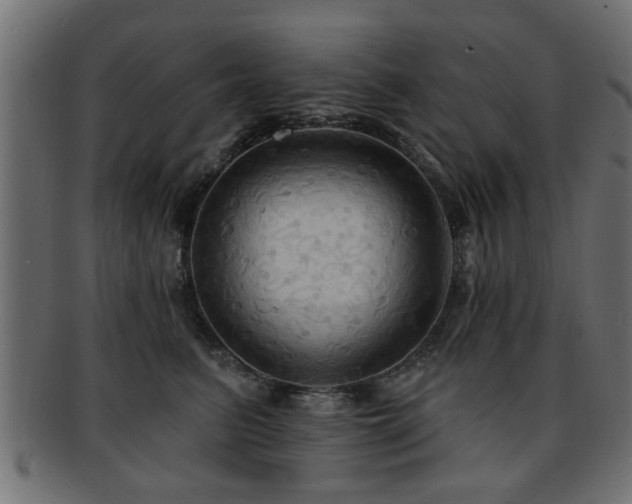 X0000093250615200709261721
