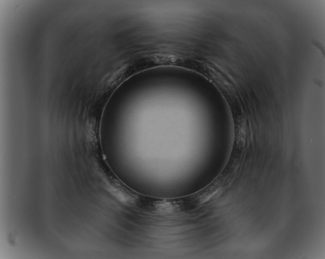 X0000093250616200709261721