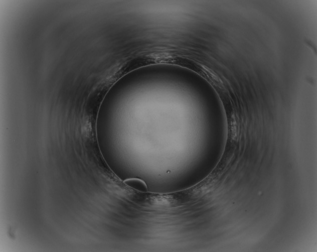 X0000093250618200709261721