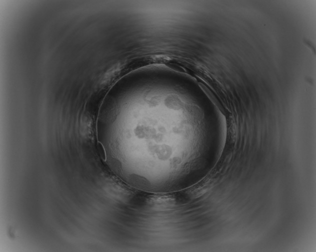X0000093250619200709261721