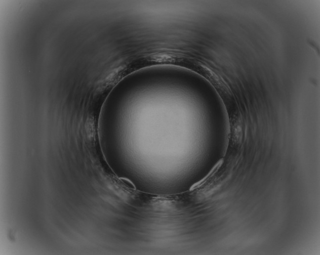X0000093250620200709261721