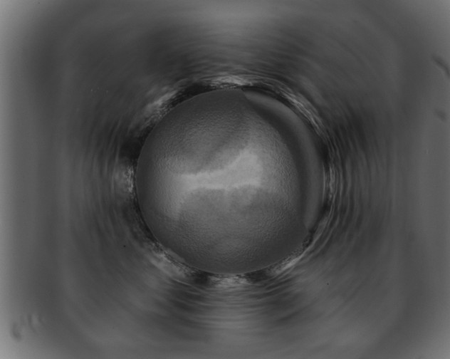 X0000093250621200709261721