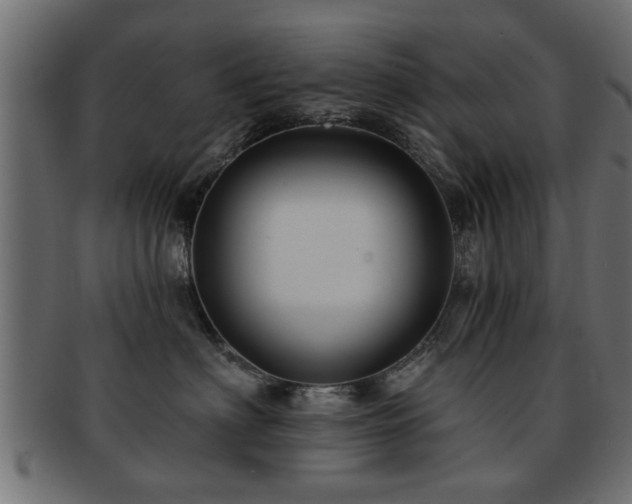 X0000093250622200709261721