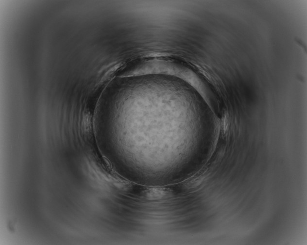 X0000093250623200709261721