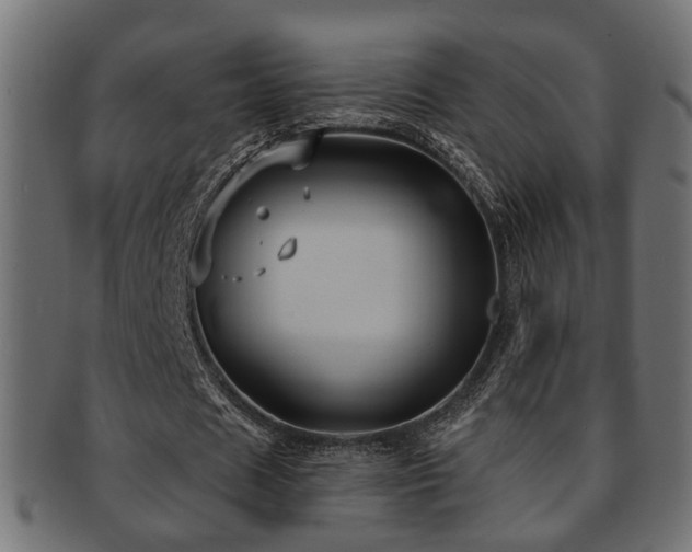 X0000093250625200709261720