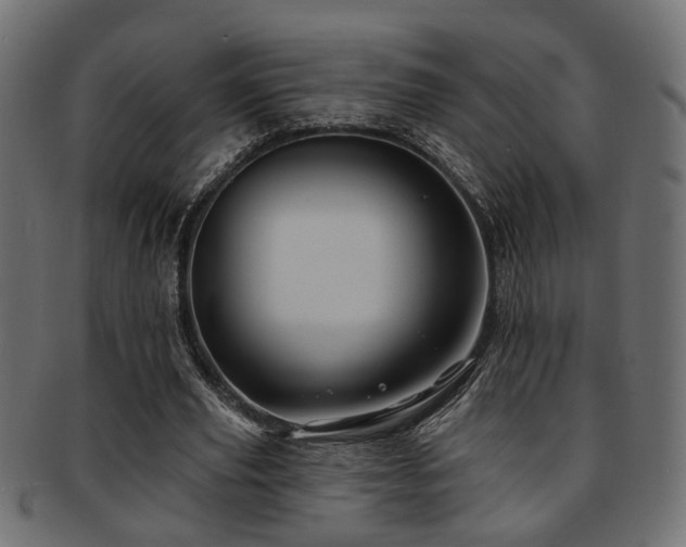 X0000093250629200709261720