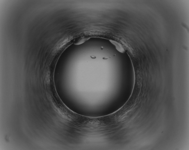 X0000093250631200709261720