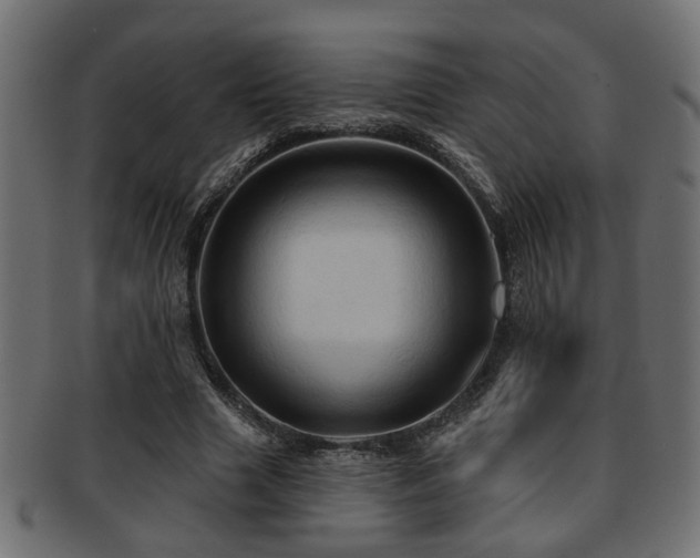 X0000093250633200709261720