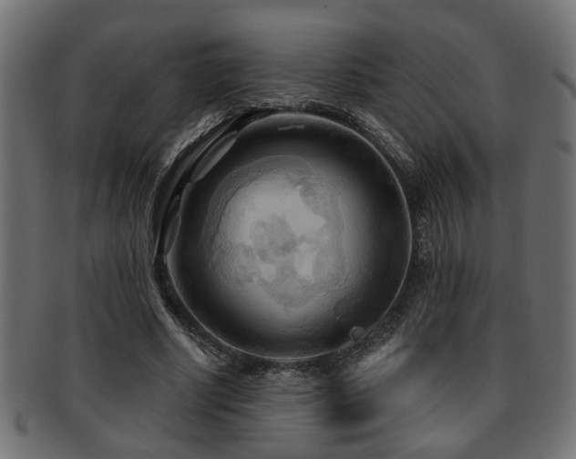 X0000093250634200709261720