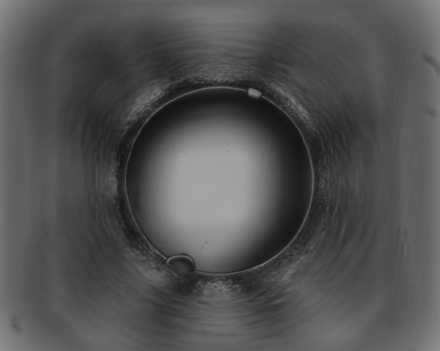 X0000093250635200709261720