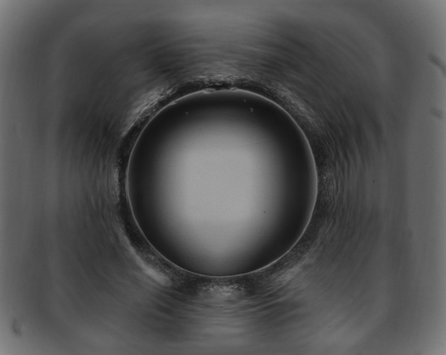 X0000093250638200709261720