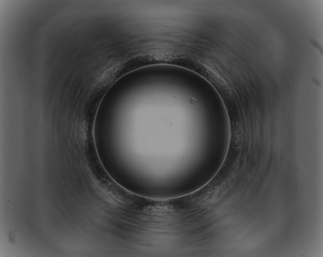 X0000093250639200709261720
