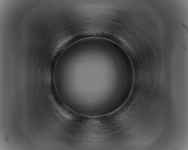 X0000093250640200709261720