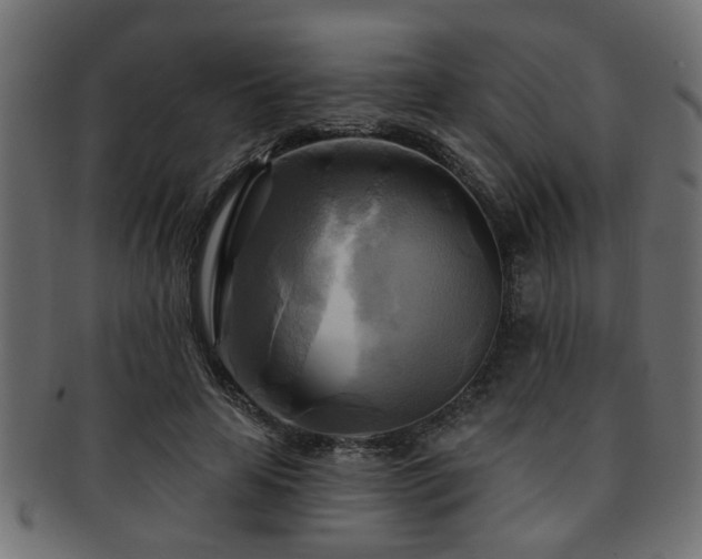 X0000093250641200709261720