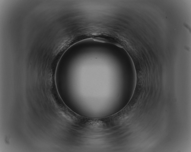 X0000093250642200709261720