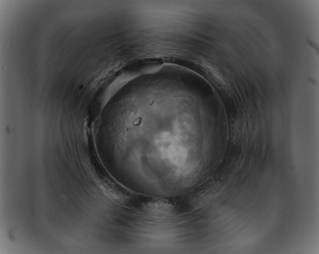 X0000093250644200709261720