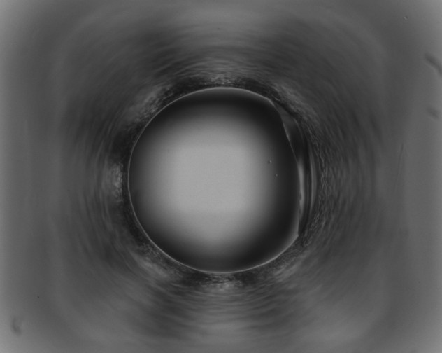 X0000093250646200709261720
