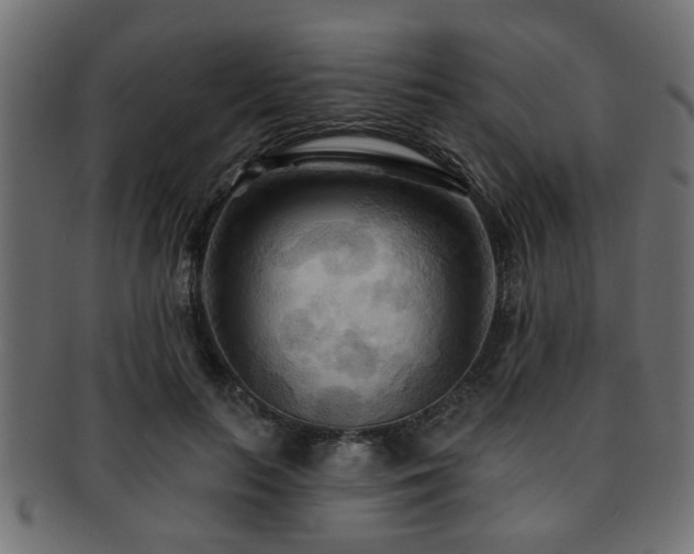 X0000093250647200709261720