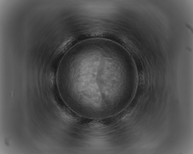 X0000093250648200709261720