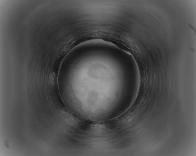 X0000093250649200709261720