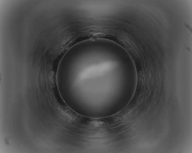 X0000093250650200709261720