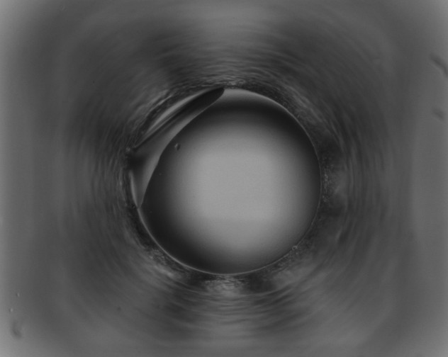 X0000093250652200709261720