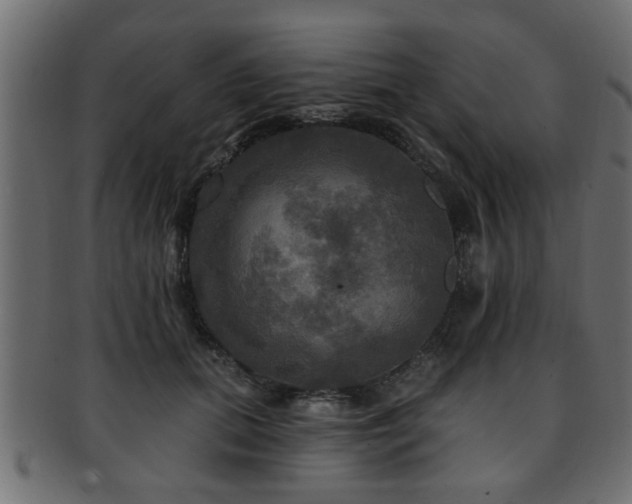 X0000093250655200709261720
