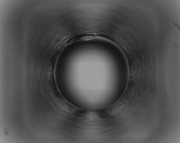 X0000093250656200709261720