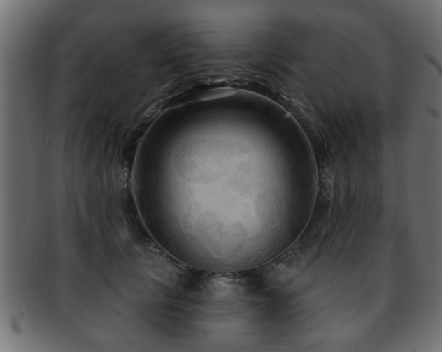 X0000093250657200709261720