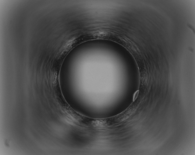 X0000093250660200709261720