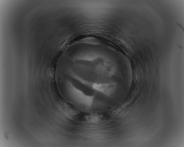 X0000093250661200709261720
