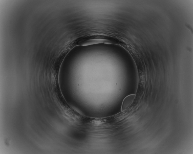 X0000093250662200709261720