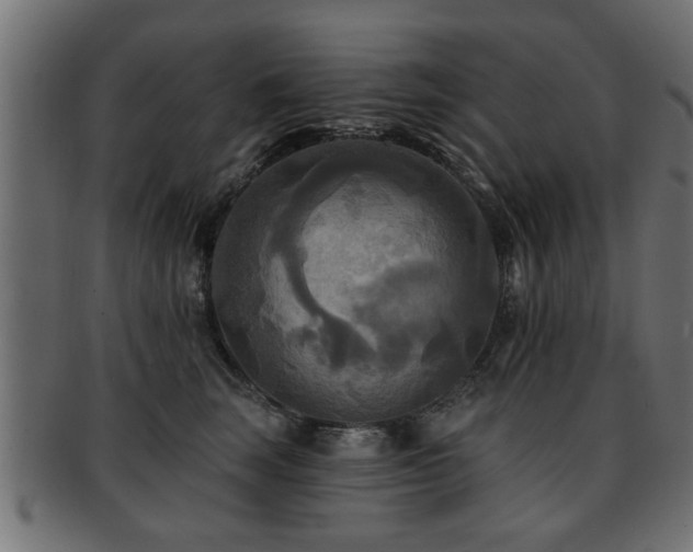 X0000093250663200709261720