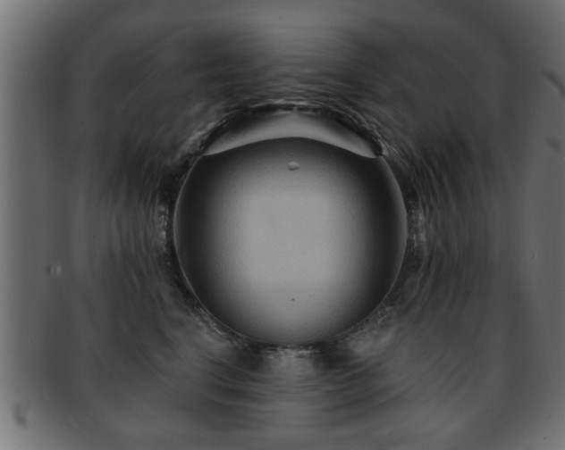 X0000093250664200709261720