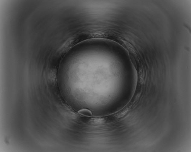 X0000093250665200709261720