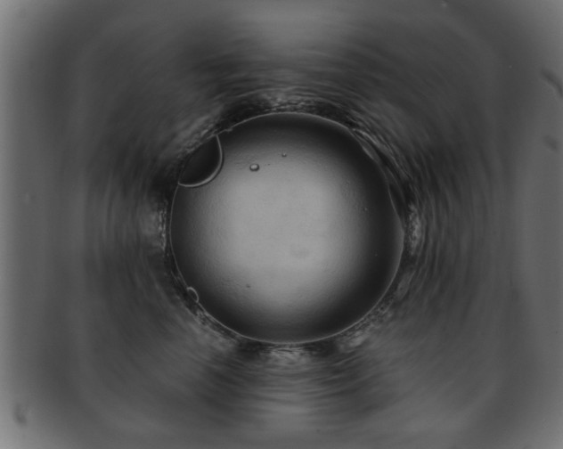 X0000093250666200709261720