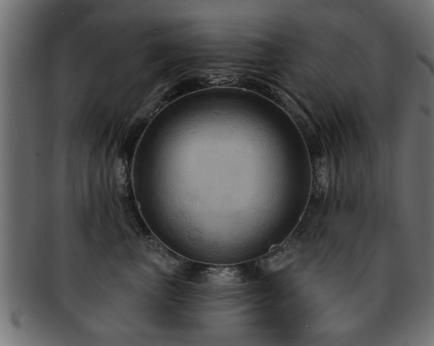 X0000093250667200709261721