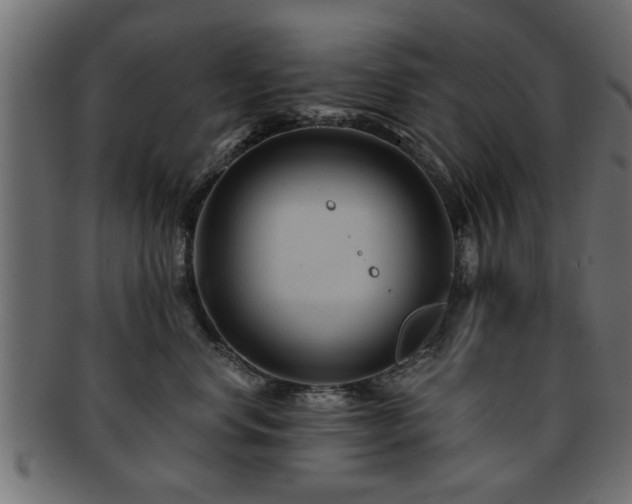 X0000093250668200709261721