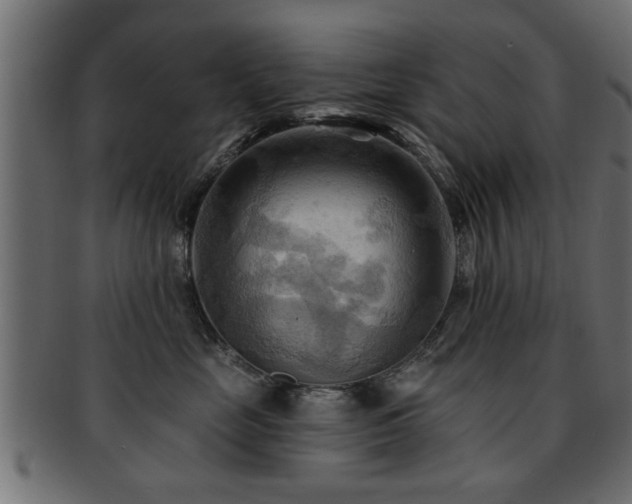 X0000093250669200709261721