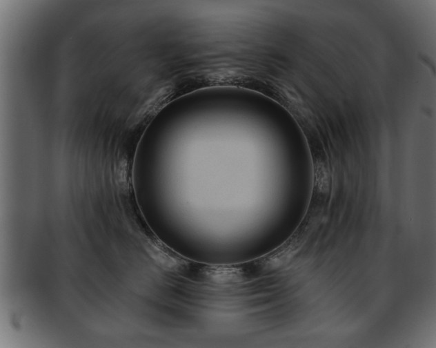 X0000093250670200709261721