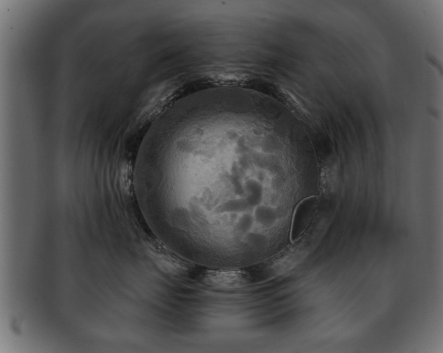 X0000093250671200709261721