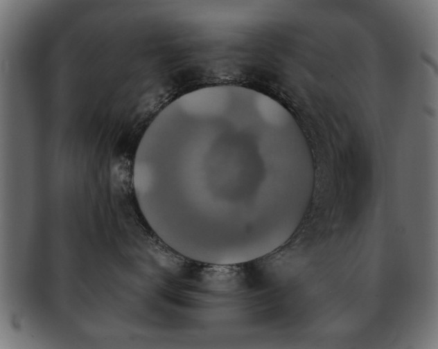 X0000093250672200709261721