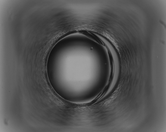 X0000093250673200709261720