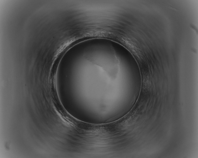 X0000093250674200709261720