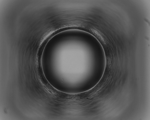 X0000093250676200709261720