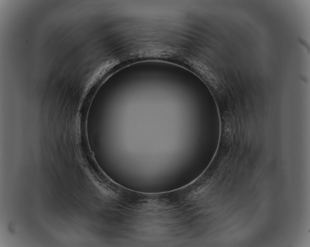 X0000093250678200709261720