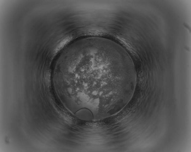 X0000093250679200709261720